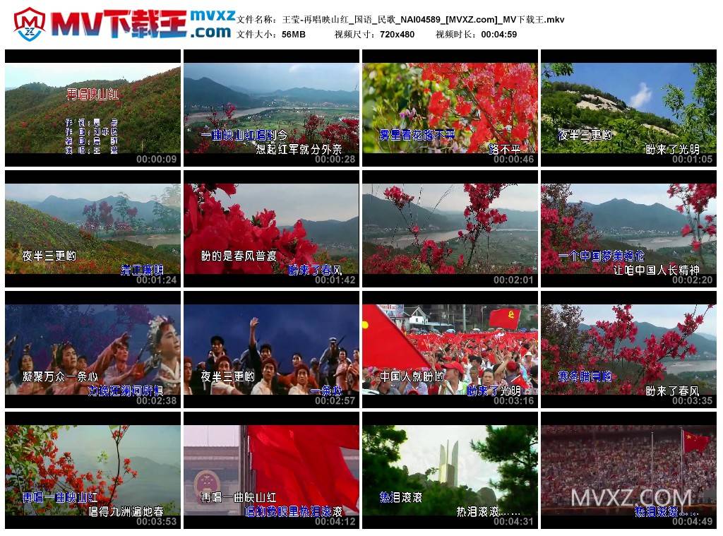 王莹-再唱映山红_国语_民歌_NAI04589